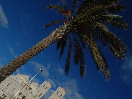 Il concorso &ldquo;Angelo Alfonso Mezzina&rdquo; al centro della giornata dell�arte targata I.P.S.S.A.R. Molfetta